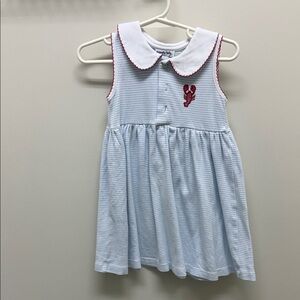 Charming Blue Striped Kids Dress with Red Embroidery